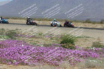 media/Feb-04-2023-SoCal Trackdays (Sat) [[8a776bf2c3]]/Turn 15 Inside Blooming (1050am)/